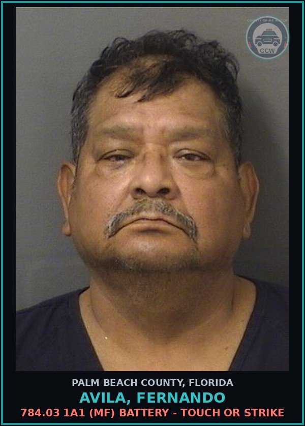 Booking mugshot of AVILA, FERNANDO in Palm Beach County