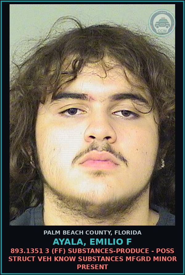 Booking mugshot of AYALA, EMILIO F in Palm Beach County