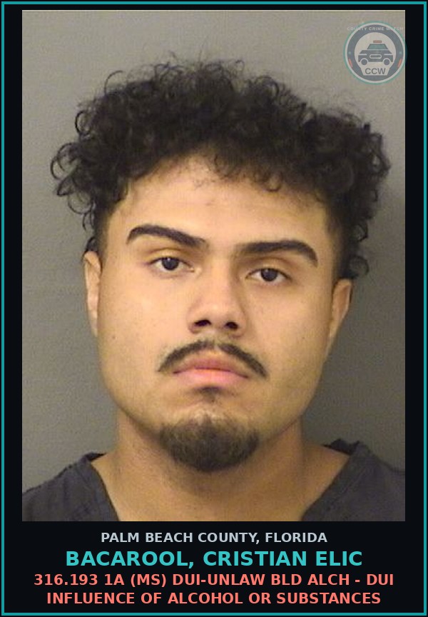 Booking mugshot of BACAROOL, CRISTIAN ELIC in Palm Beach County