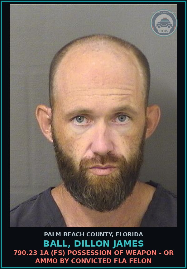 Booking mugshot of BALL, DILLON JAMES in Palm Beach County
