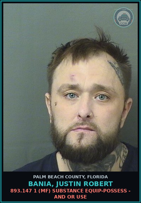 Booking mugshot of BANIA, JUSTIN ROBERT in Palm Beach County