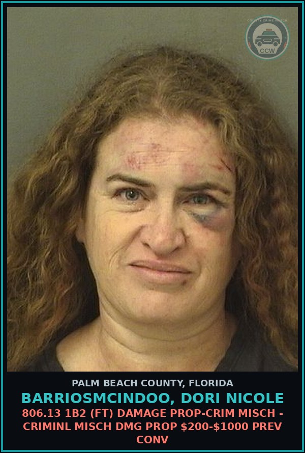 Booking mugshot of BARRIOSMCINDOO, DORI NICOLE in Palm Beach County