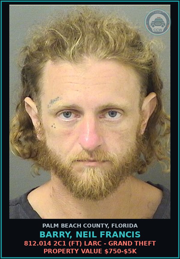 Booking mugshot of BARRY, NEIL FRANCIS in Palm Beach County