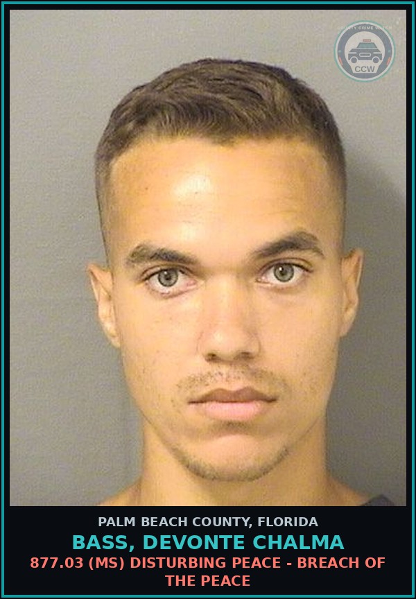 Booking mugshot of BASS, DEVONTE CHALMA in Palm Beach County
