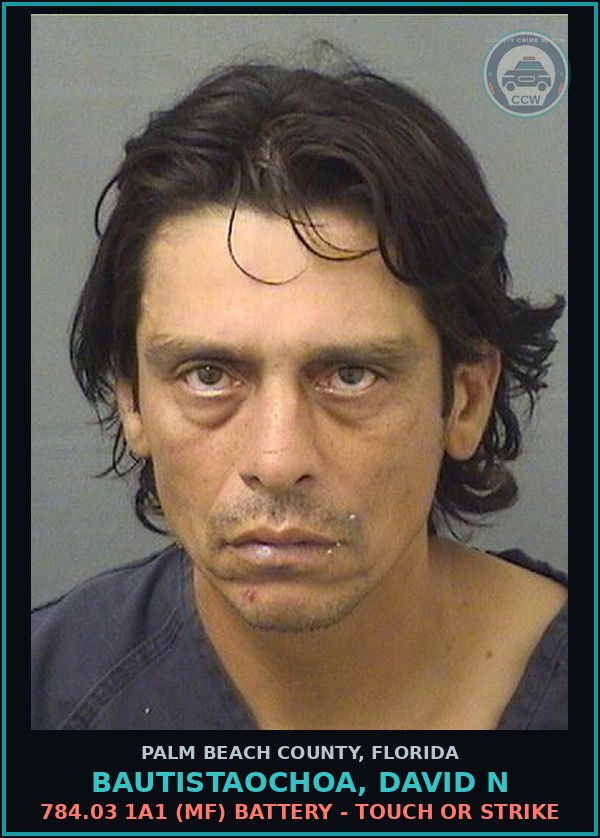 Booking mugshot of BAUTISTAOCHOA, DAVID N in Palm Beach County