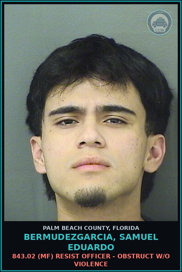 Booking mugshot of BERMUDEZGARCIA, SAMUEL EDUARDO in Palm Beach County