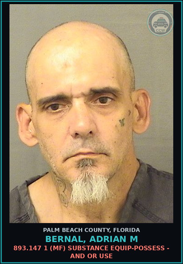 Booking mugshot of BERNAL, ADRIAN M in Palm Beach County