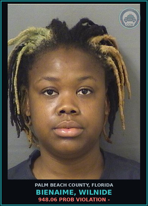 Booking mugshot of BIENAIME, WILNIDE in Palm Beach County