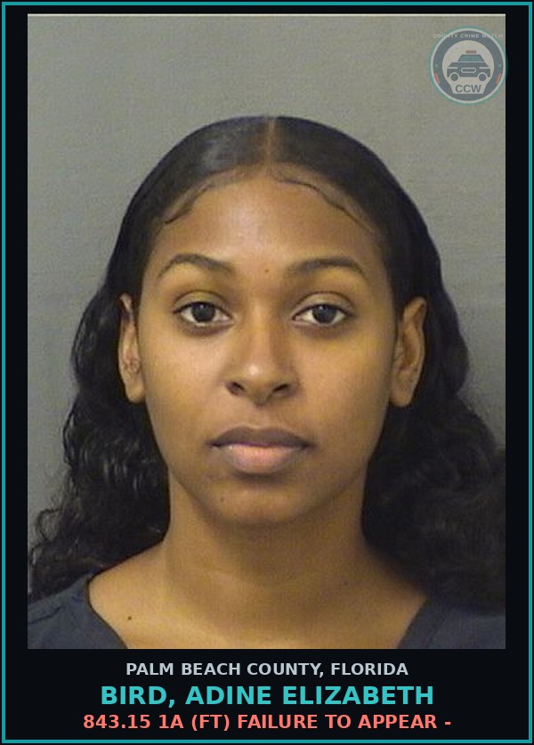 Booking mugshot of BIRD, ADINE ELIZABETH in Palm Beach County