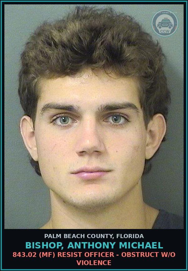 Booking mugshot of BISHOP, ANTHONY MICHAEL in Palm Beach County