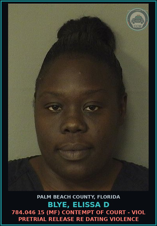 Booking mugshot of BLYE, ELISSA D in Palm Beach County
