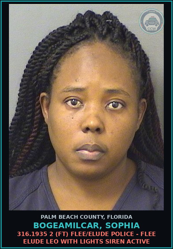 Booking mugshot of BOGEAMILCAR, SOPHIA in Palm Beach County