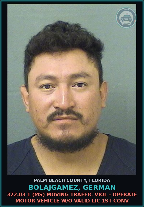 Booking mugshot of BOLAJGAMEZ, GERMAN in Palm Beach County