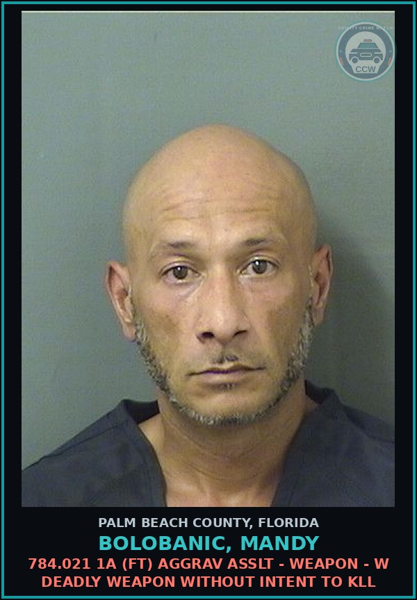 Booking mugshot of BOLOBANIC, MANDY in Palm Beach County