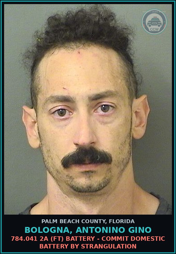 Booking mugshot of BOLOGNA, ANTONINO GINO in Palm Beach County