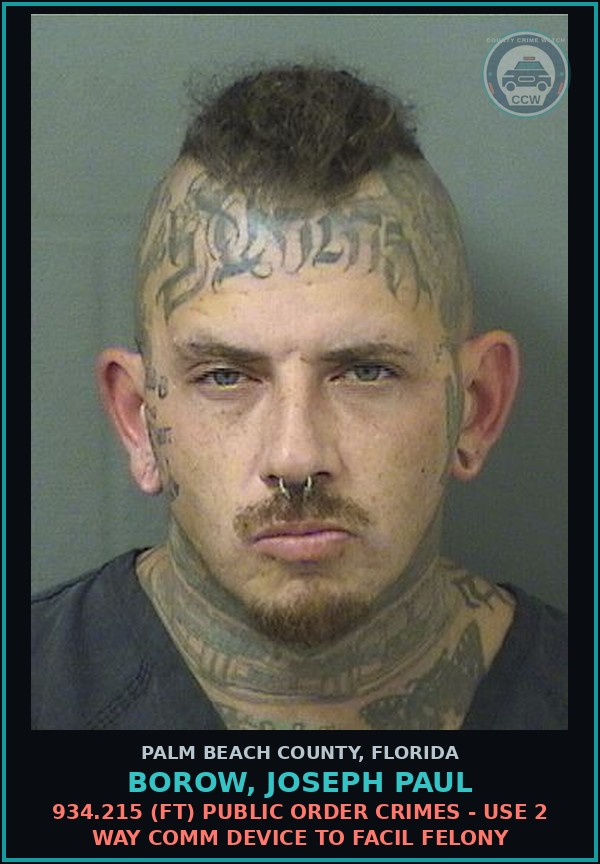 Booking mugshot of BOROW, JOSEPH PAUL in Palm Beach County