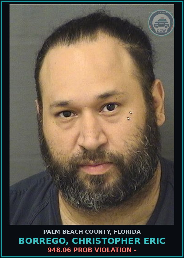 Booking mugshot of BORREGO, CHRISTOPHER ERIC in Palm Beach County