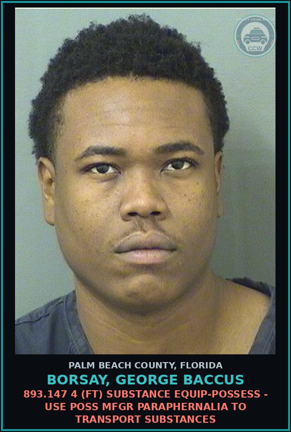 Booking mugshot of BORSAY, GEORGE BACCUS in Palm Beach County
