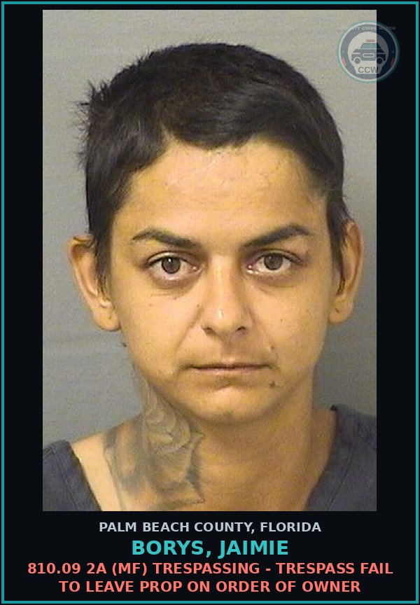 Booking mugshot of BORYS, JAIMIE in Palm Beach County