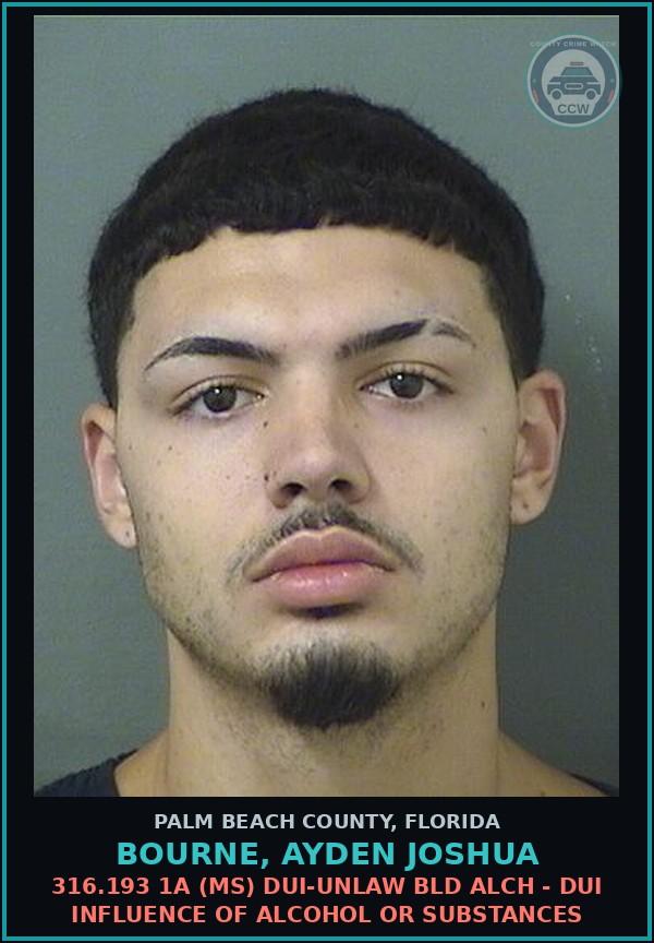 Booking mugshot of BOURNE, AYDEN JOSHUA in Palm Beach County