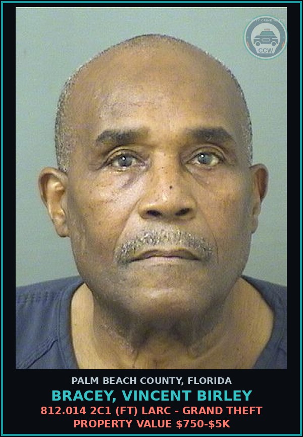 Booking mugshot of BRACEY, VINCENT BIRLEY in Palm Beach County