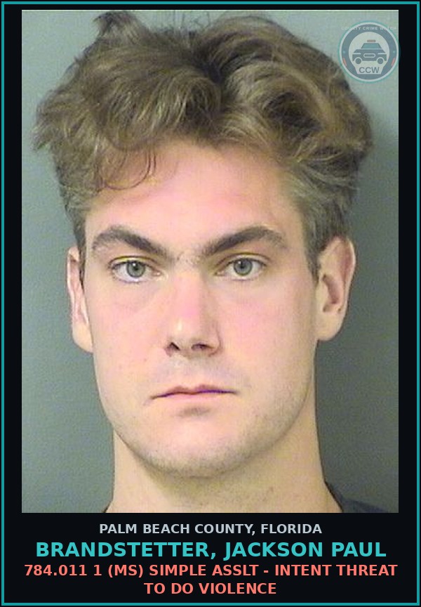 Booking mugshot of BRANDSTETTER, JACKSON PAUL in Palm Beach County