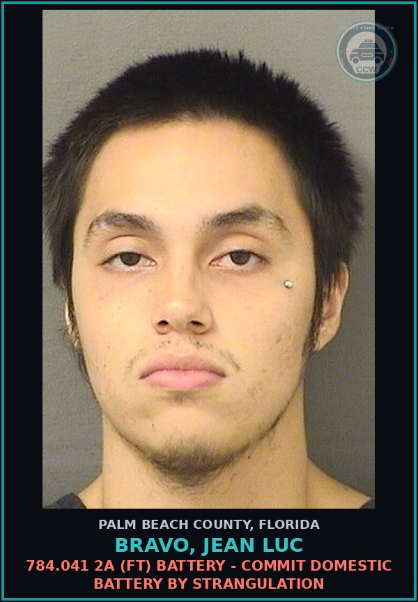 Booking mugshot of BRAVO, JEAN LUC in Palm Beach County
