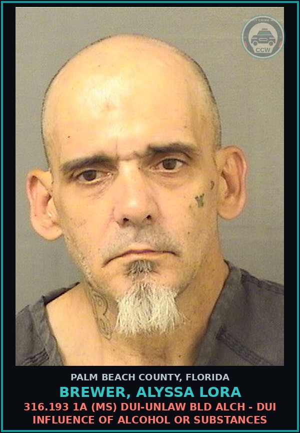 Booking mugshot of BREWER, ALYSSA LORA in Palm Beach County