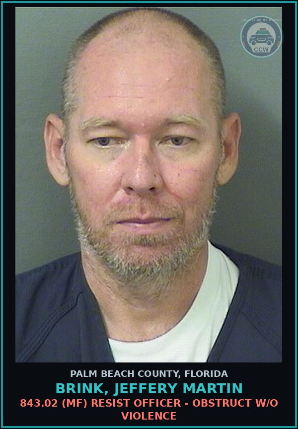 Booking mugshot of BRINK, JEFFERY MARTIN in Palm Beach County