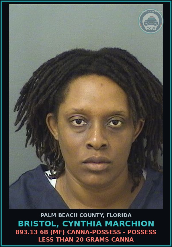 Booking mugshot of BRISTOL, CYNTHIA MARCHION in Palm Beach County