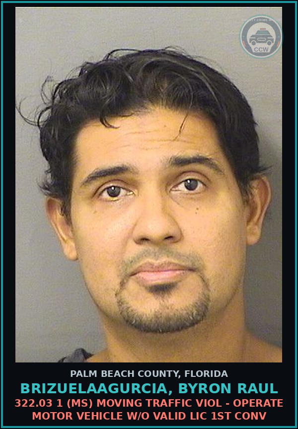 Booking mugshot of BRIZUELAAGURCIA, BYRON RAUL in Palm Beach County