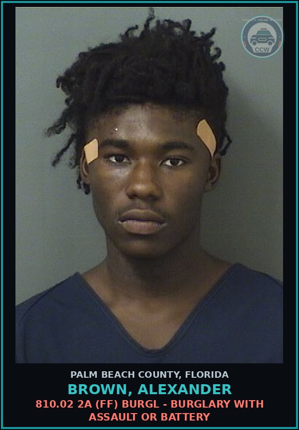 Booking mugshot of BROWN, ALEXANDER in Palm Beach County