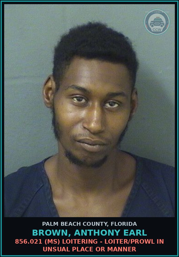 Booking mugshot of BROWN, ANTHONY EARL in Palm Beach County