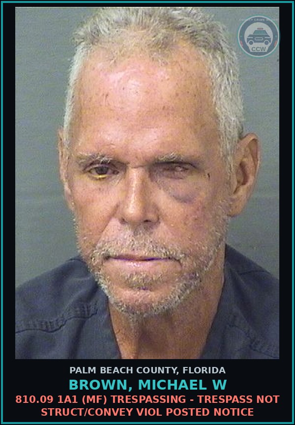 Booking mugshot of BROWN, MICHAEL W in Palm Beach County