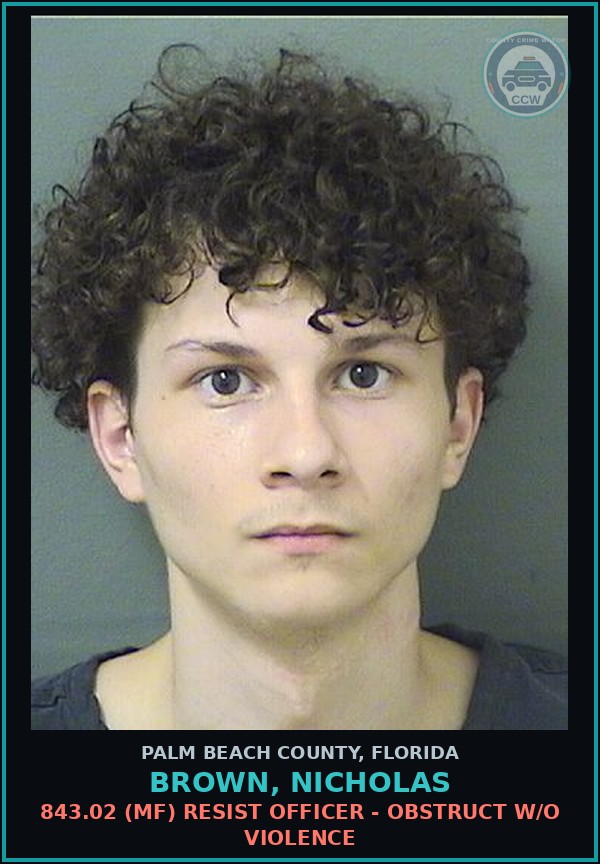 Booking mugshot of BROWN, NICHOLAS in Palm Beach County