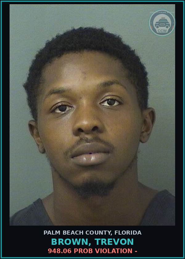 Booking mugshot of BROWN, TREVON in Palm Beach County