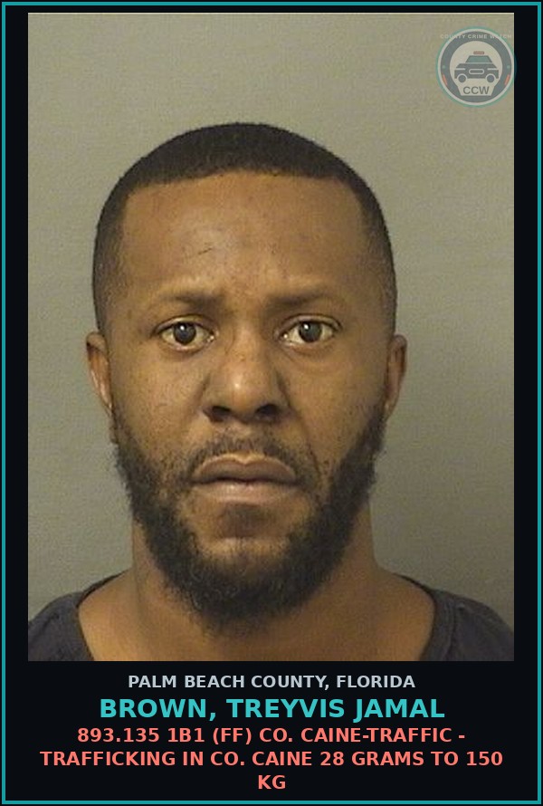 Booking mugshot of BROWN, TREYVIS JAMAL in Palm Beach County