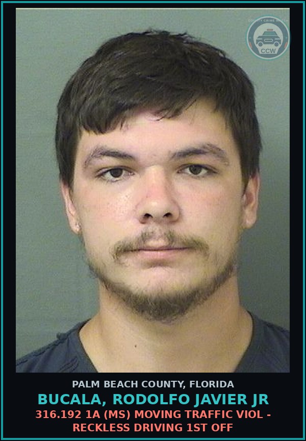 Booking mugshot of BUCALA, RODOLFO JAVIER Jr in Palm Beach County