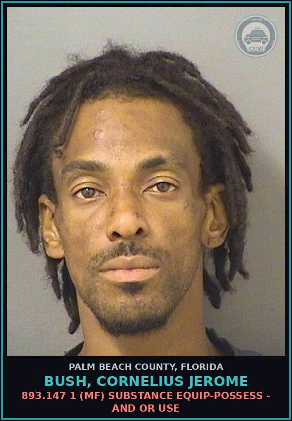 Booking mugshot of BUSH, CORNELIUS JEROME in Palm Beach County