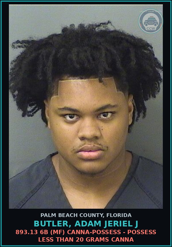 Booking mugshot of BUTLER, ADAM JERIEL J in Palm Beach County