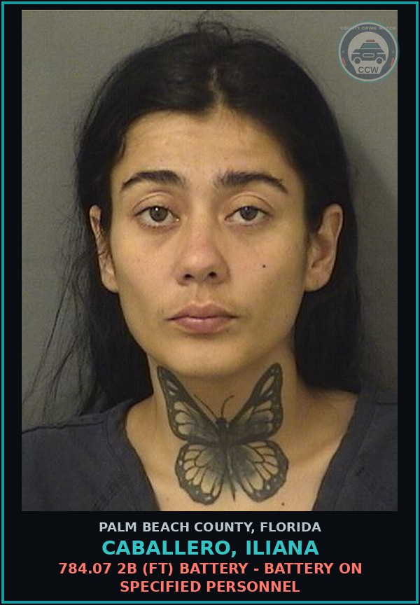 Booking mugshot of CABALLERO, ILIANA in Palm Beach County
