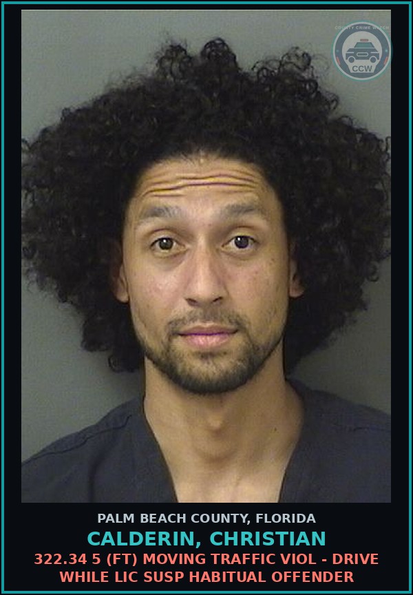 Booking mugshot of CALDERIN, CHRISTIAN in Palm Beach County