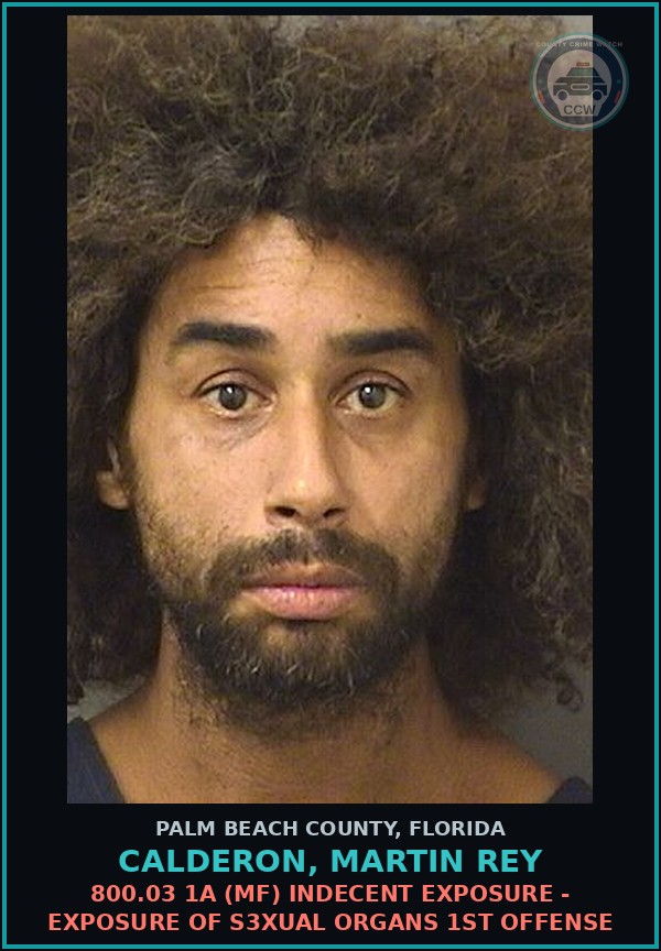Booking mugshot of CALDERON, MARTIN REY in Palm Beach County