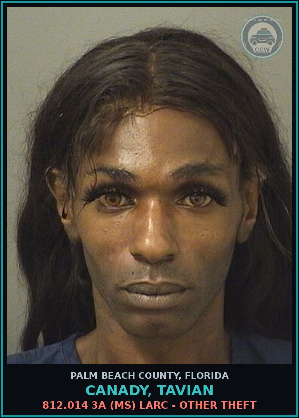 Booking mugshot of CANADY, TAVIAN in Palm Beach County