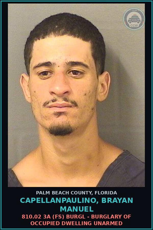 Booking mugshot of CAPELLANPAULINO, BRAYAN MANUEL in Palm Beach County