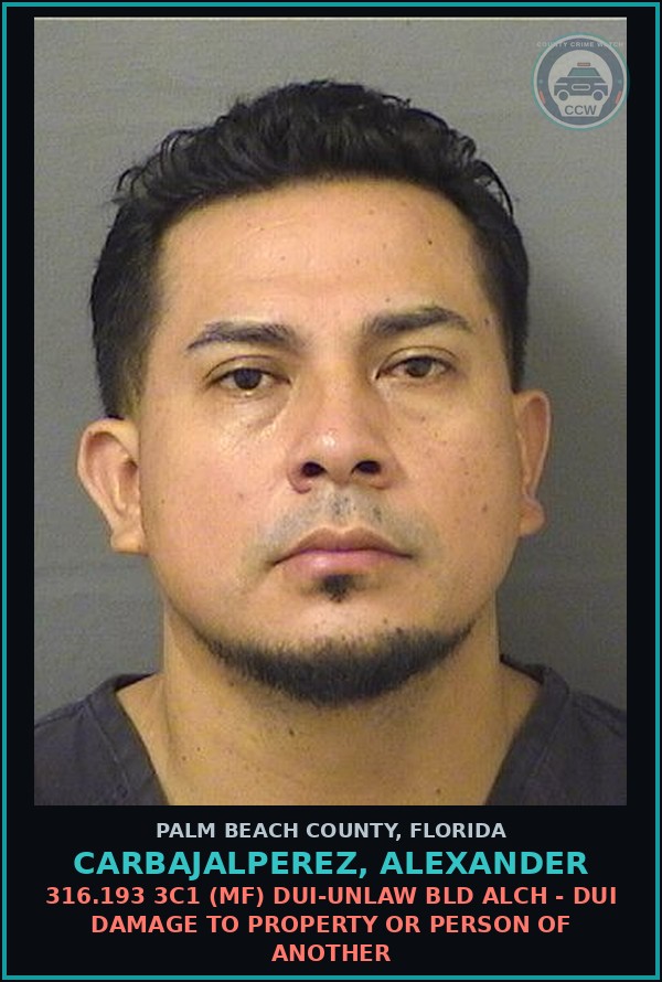 Booking mugshot of CARBAJALPEREZ, ALEXANDER in Palm Beach County
