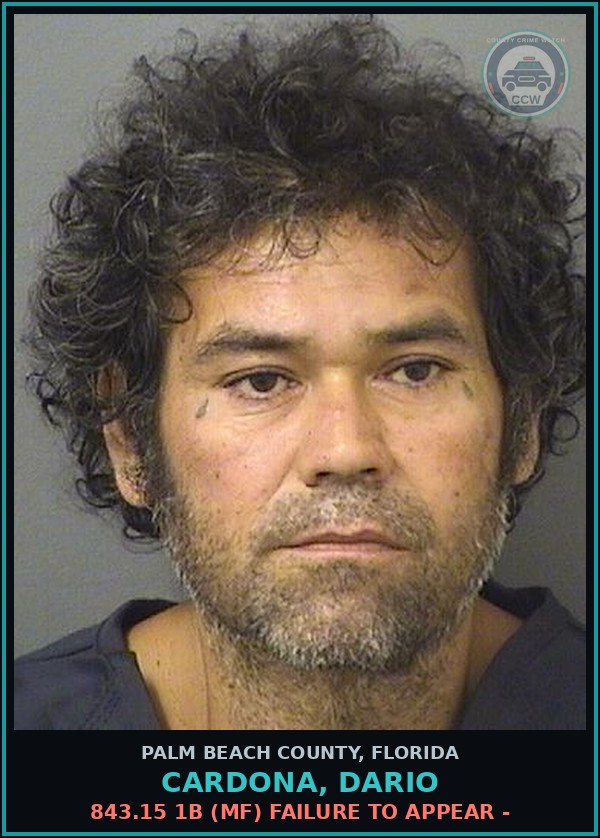 Booking mugshot of CARDONA, DARIO in Palm Beach County