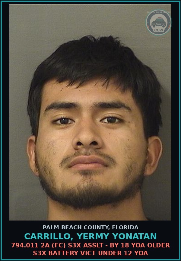 Booking mugshot of CARRILLO, YERMY YONATAN in Palm Beach County