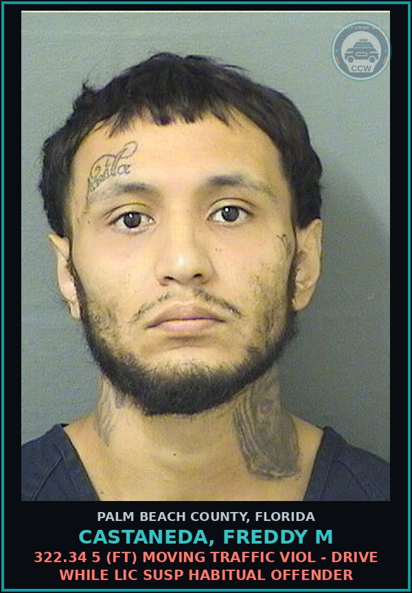 Booking mugshot of CASTANEDA, FREDDY M in Palm Beach County
