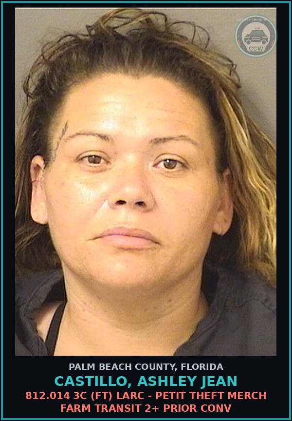 Booking mugshot of CASTILLO, ASHLEY JEAN in Palm Beach County